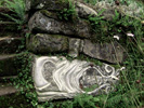Image 01